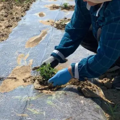 3b7456f380d55adb45025d457ddadf91