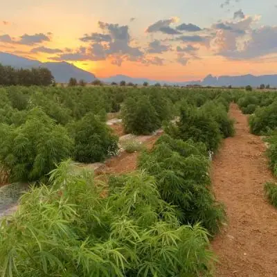 123854ab1a6337027c8794bc0a817022