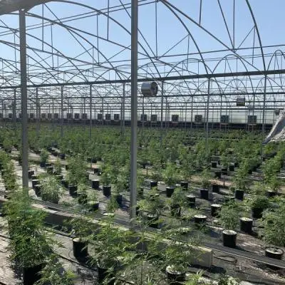 Bae51880c103af317bcc6e3268db69d4