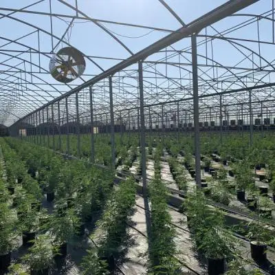 7968846b48d1fa36279ac81fbec911e3