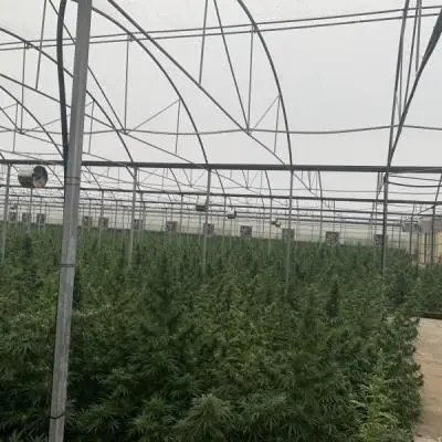 746e59f61ad5363886e9e50045cff589