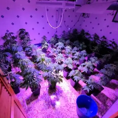 8efd3d66429c86791caba145238915f0